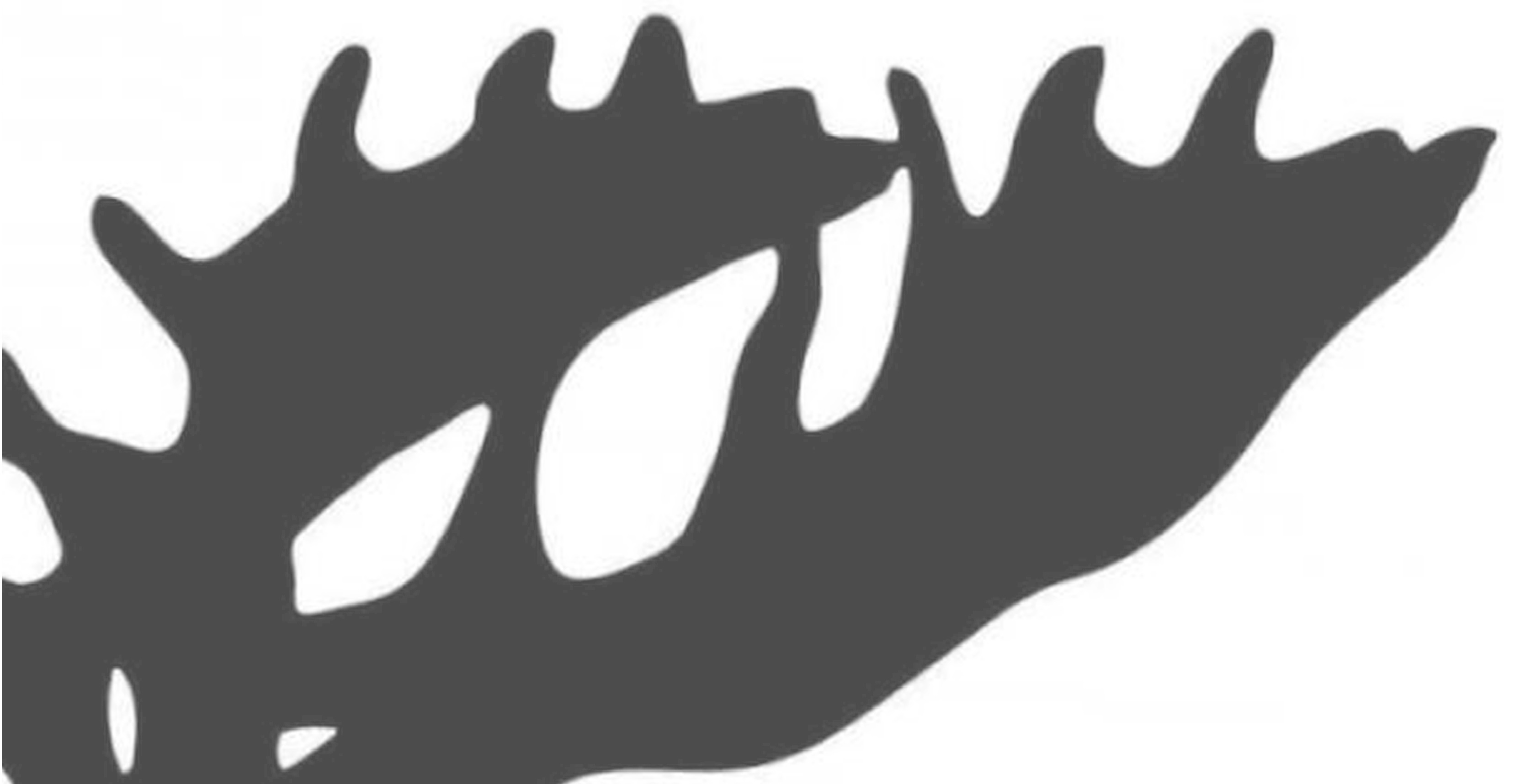 Sprengschule-Berlin Startseite 